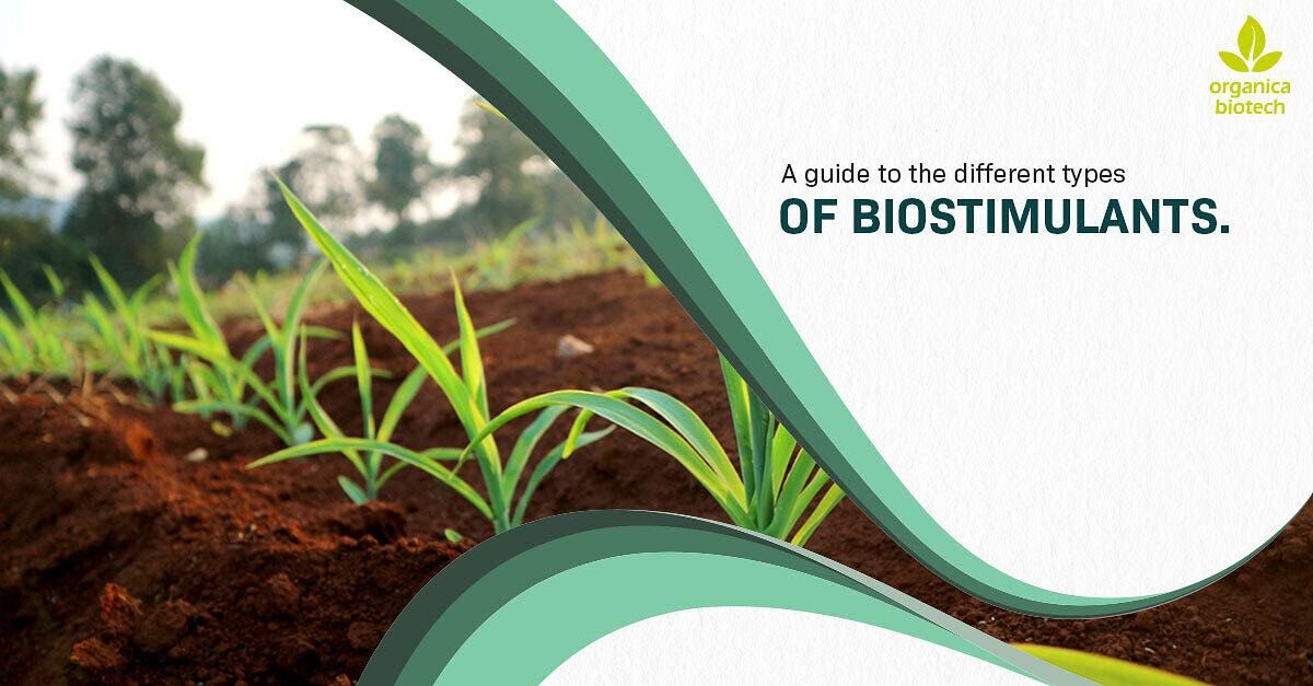 A Guide to the Different Types of Biostimulants 1 A Guide to the Different Types of Biostimulants
