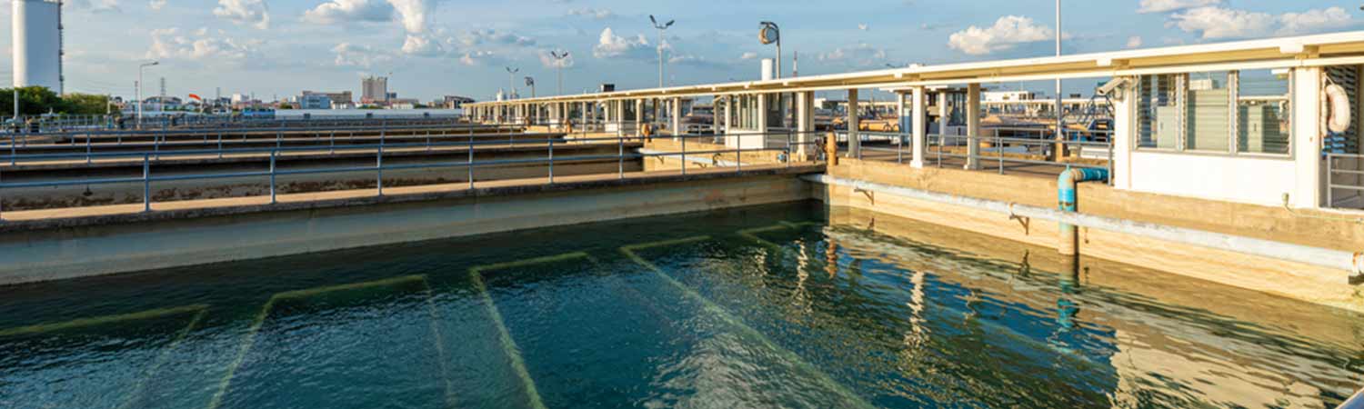 Higher Life Forms and Their Role in Wastewater Treatment 1 Higher Life Forms in Wastewater Treatment