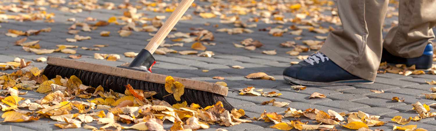 Manual Scavenging 1 Sweeping leaves on pavement, symbolizing manual scavenging cleanup.