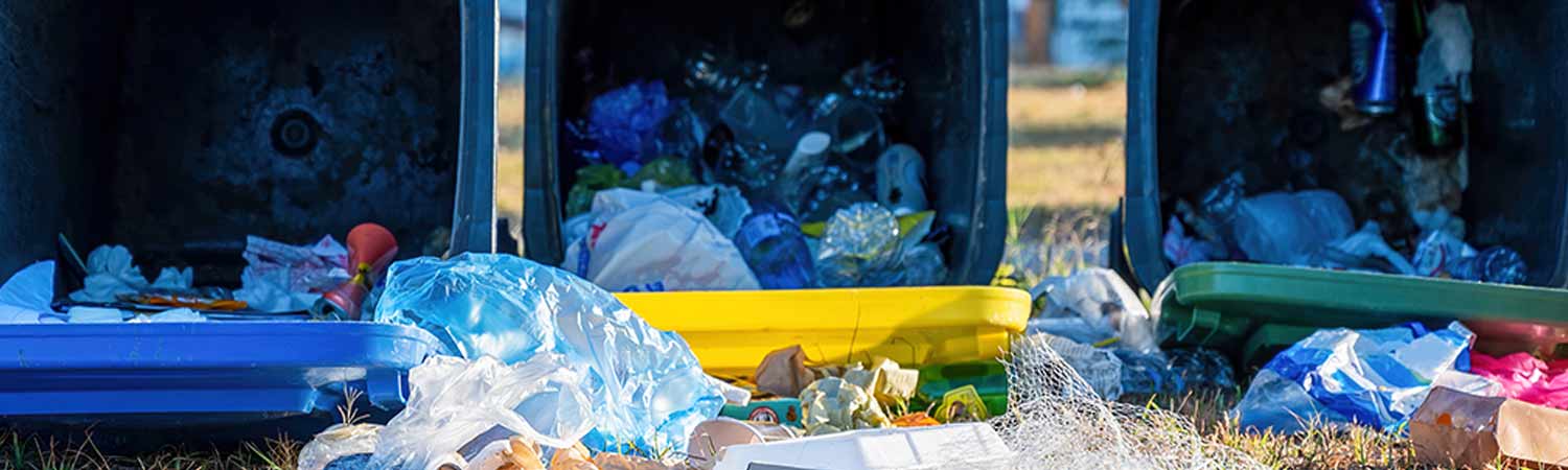 Blou Honde in Taloja: Uitloper van Industriële Afval 1 Aftakking van industriële afval
