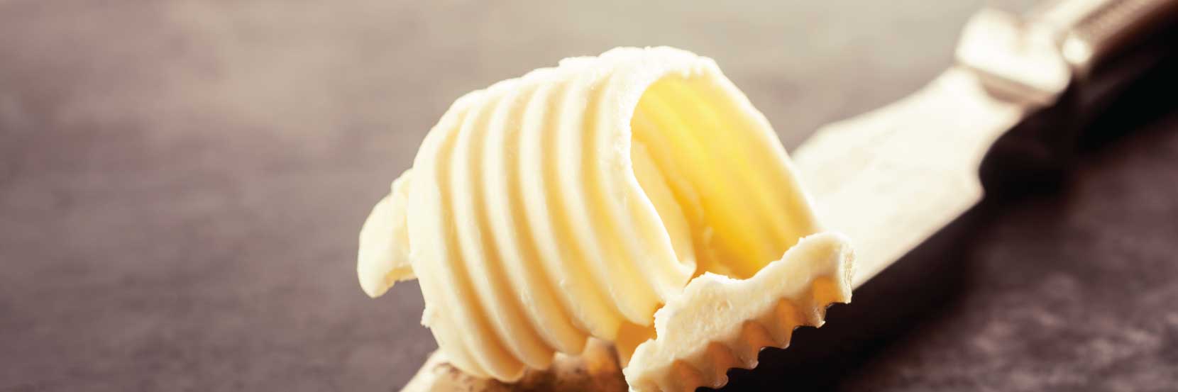 Making ETP More Efficient at the Largest Dairy Foods Manufacturing Company in India 1 Making ETP More Efficient at Dairy Foods Manufacturing Company in India