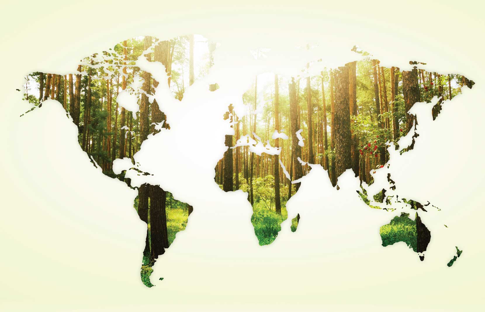 What Is Biodiversity? And Why Does It Matter? 1 What Is Biodiversity