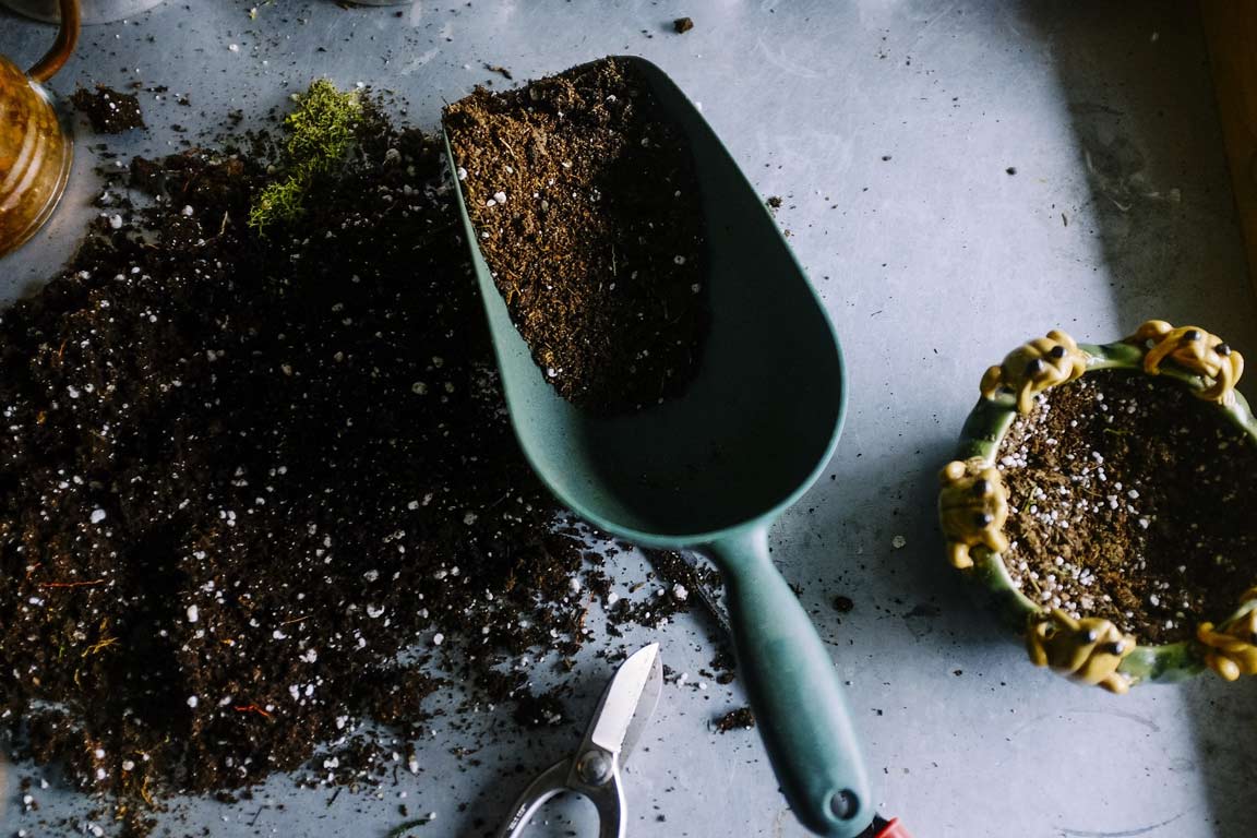 The Role of Soil Conditioning for Farming and Gardening Health in Myanmar 1 A green garden trowel scoops up dark, nutrient-rich soil mixed with white perlite, next to a small pile of dirt and a pair of scissors on a metal surface.