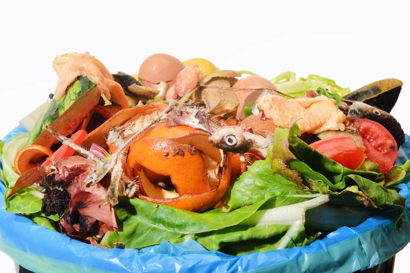 How Can You Start Home Composting & Help The Environment 1 How-Can-You-Start-Home-Composting-Help-The-Environment