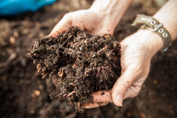 Home Composting - How Can You Turn Your Spoils Into Soil 1 Turn Your Spoils Into Soil