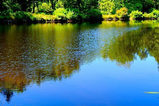What Are Natural and Effective Ways of Purifying Lake Water 1 Clear lake with blue water reflecting trees, showing natural purification methods.