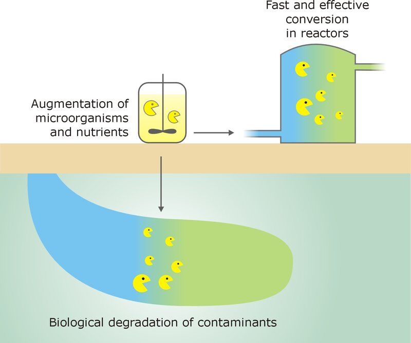 Bio-augmentation: An Emerging Industrial Wastewater Treatment Strategy 1 Diagram showing bio-augmentation with microbes and nutrients degrading contaminants in a reactor.