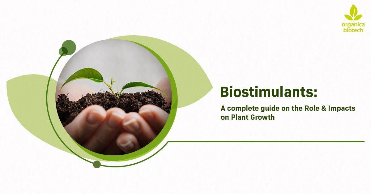 Biostimulants: A Complete Guide on the Role & Impacts on Plant Growth 1 Complete Guide On The Role and Impact on Plant Growth