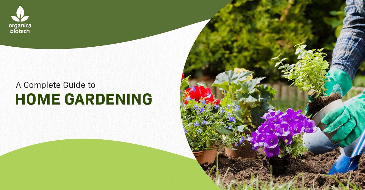 A Complete Guide To Home Gardening 1 A Complete Guide To Home Gardening