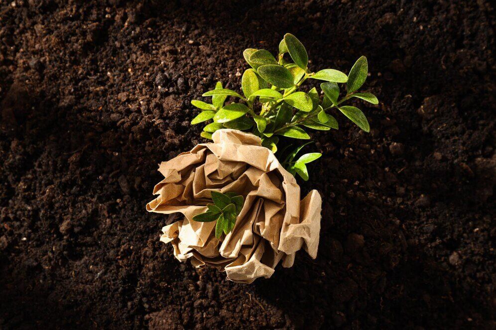 Transforming Waste into Nutrient-Rich Soil: The Benefits of Composting for Sustainable Agriculture 1 earth-day-environment-concept
