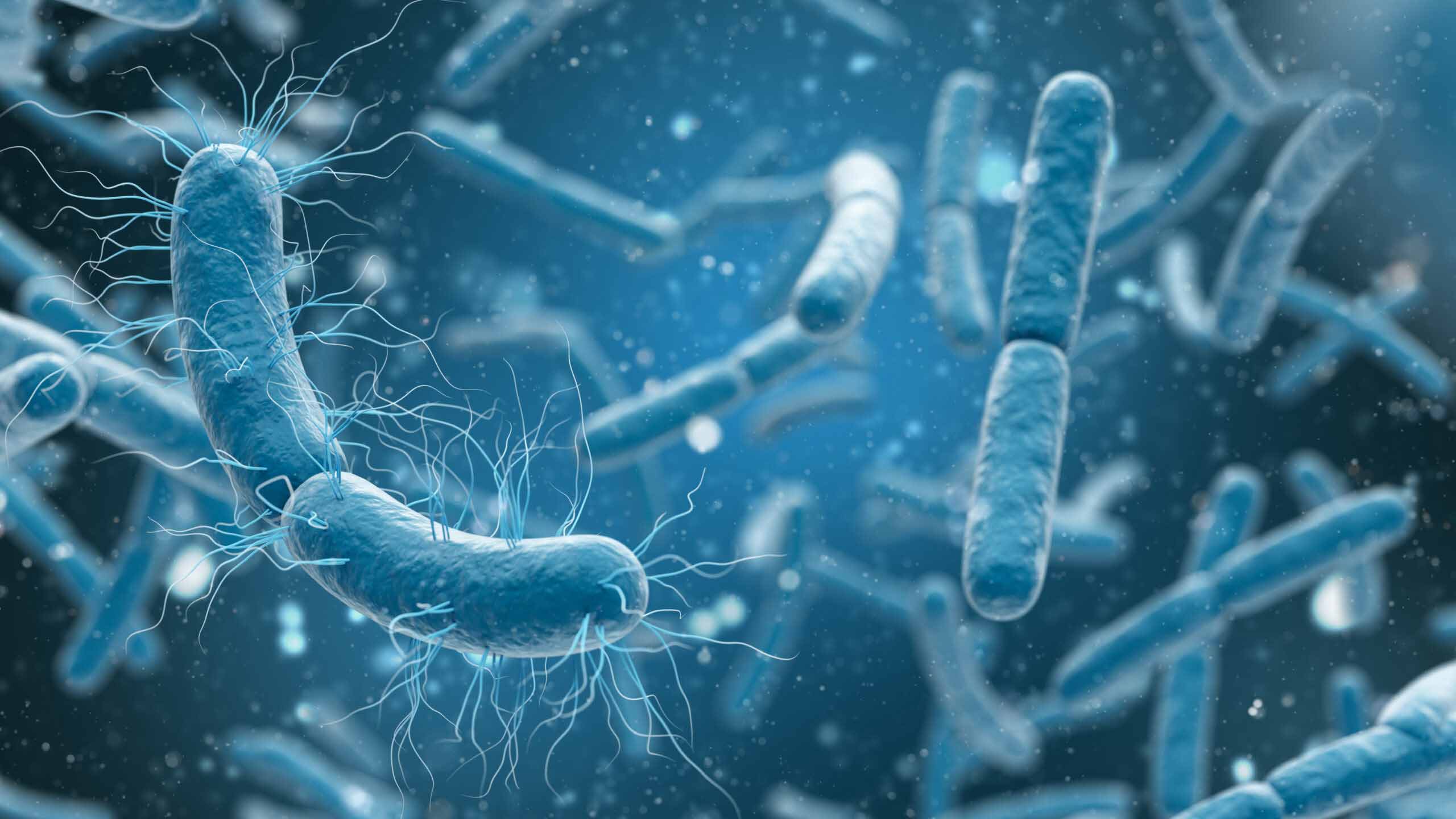 Why Are Natural Bacterial Enzymes Essential for Faecal Degradation in Septic Tanks? 1 Natural Bacterial Enzymes