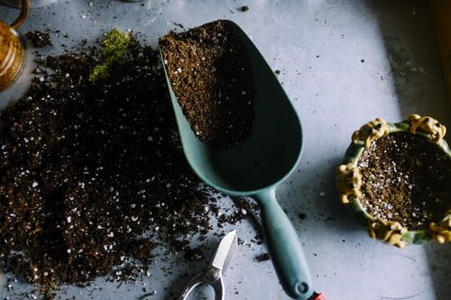 How Home Composting Gained Much Attention In 2020 1 How Home Composting Gained Much Attention In 2020