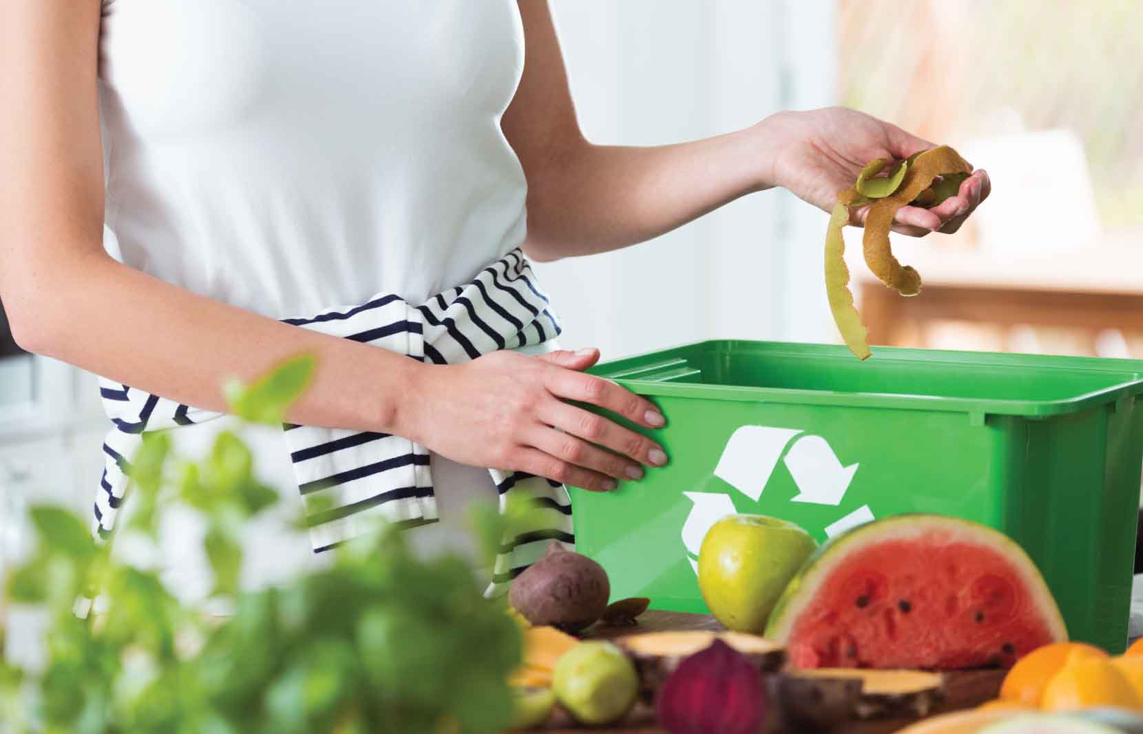 Composting 101 1 Composting 101