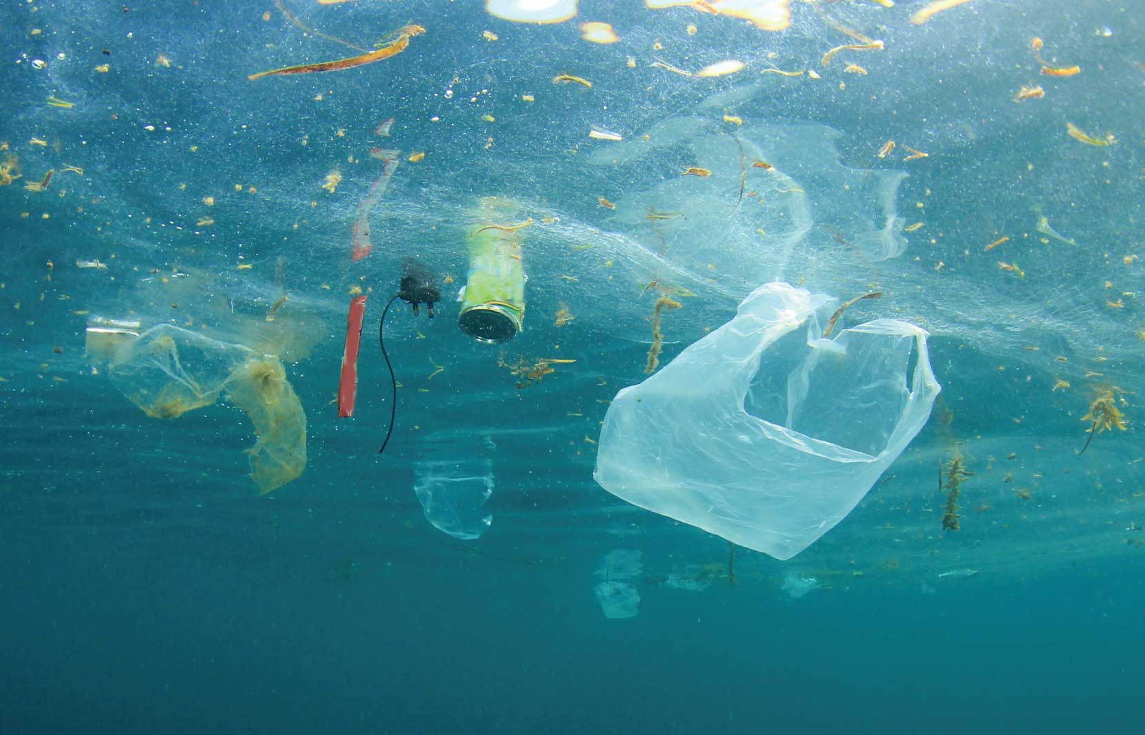 How The Plastic Ban In Mumbai Will Protect You From Diarrhoea 1 The Plastic Ban In Mumbai