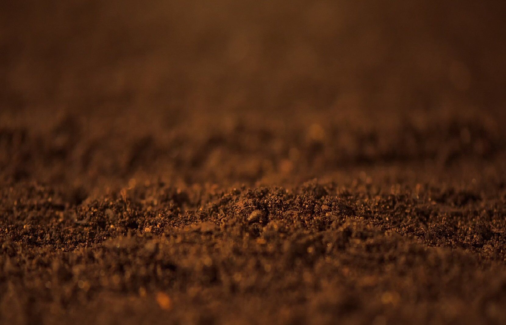 The Imperative To Save Our Soil 1 Save Our Soil