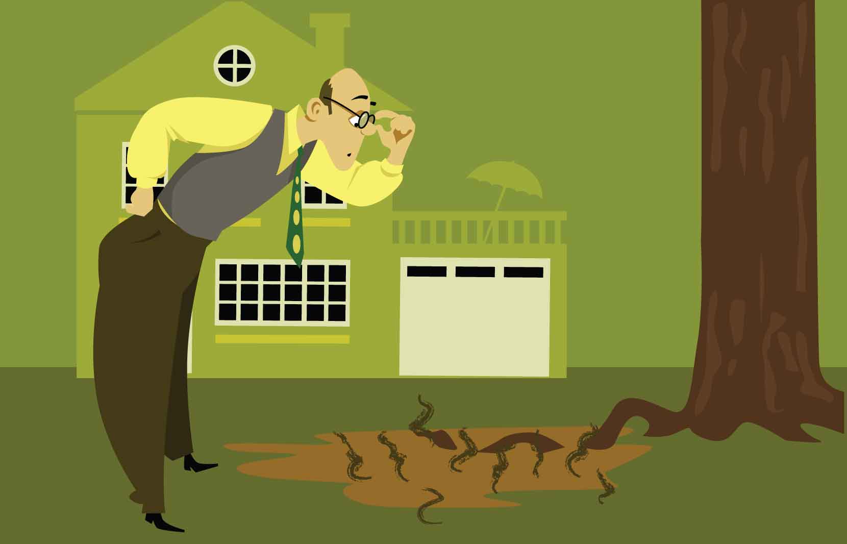 You Know You Have A Septic Tank When... 1 You Know You Have A Septic Tank When... - Organica Biotech