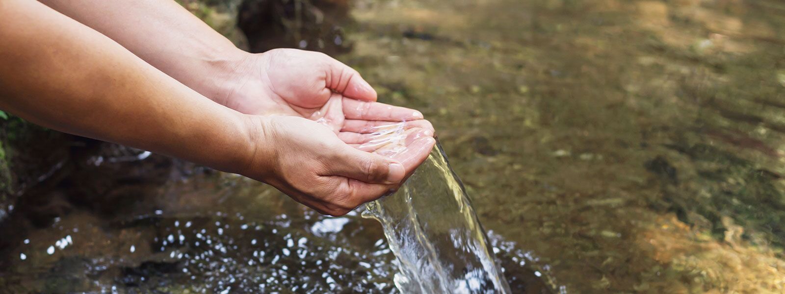 Nurturing Water Stewardship: Best Practices for Water Conservation in Commercial Spaces 1 Practices for Water Conservation in Commercial Spaces