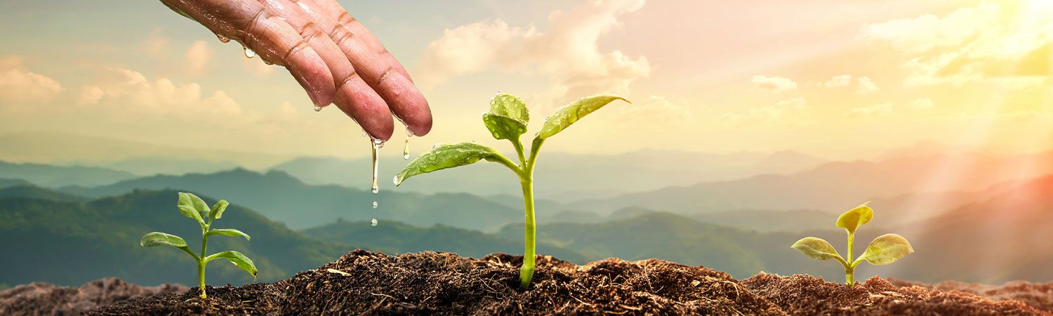 Surviving the Elements: Understanding Abiotic Stress in Plants and Strategies for Resilience 1 Abiotic Stress in Plants