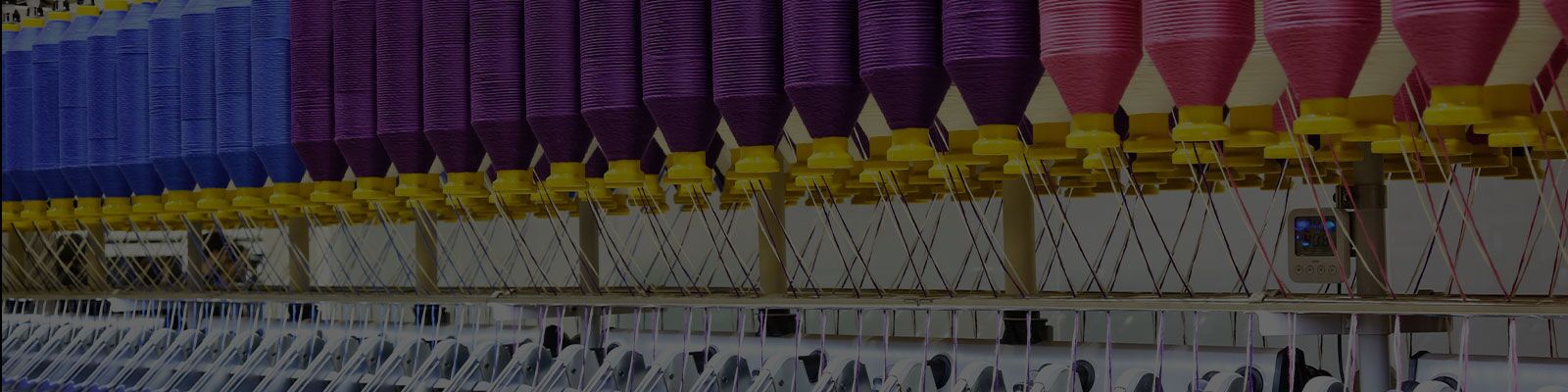 Website-Banner