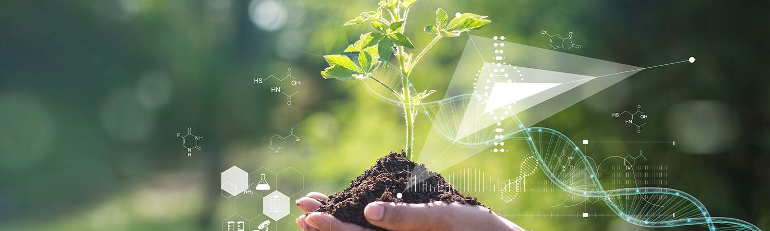 Mycorrhizae's impact: Young plant with DNA and chemical overlays, symbolizing beneficial fungi.