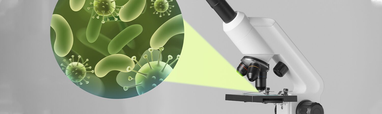 Microbes: Nature's Tiny Chemists! 1 Microscopic View of Microbes Under a Laboratory Microscope
