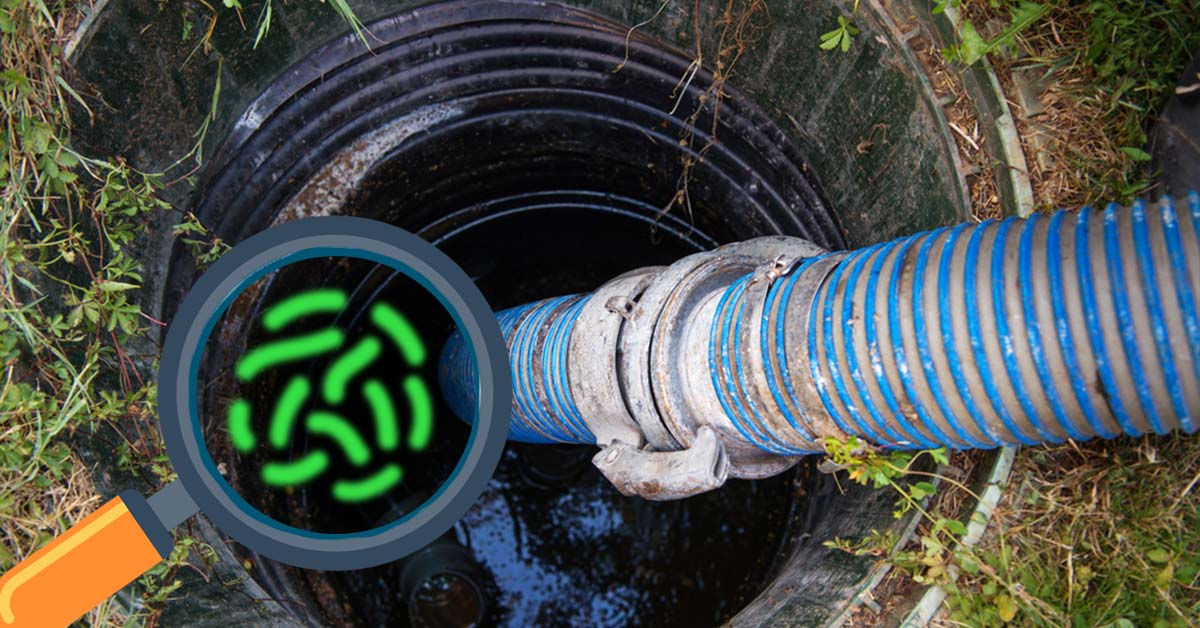 What Bacteria Is Good for Septic Systems? What Is the Fastest Way to Increase Good Bacteria? 1 Septic tank being pumped with a magnified view of beneficial bacteria essential for system health.