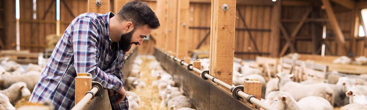 Are You Suffering From Various Diseases Of Late? Blame It On Your Poultry 1 Are You Suffering From Various Diseases of Late Blame It on Your Poultry