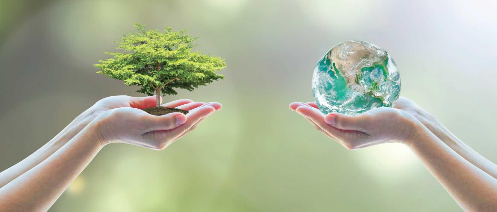 The Bioremediation Imperative 1 Two pairs of hands, one holding a green tree and the other a shimmering globe of Earth, symbolizing the imperative of bioremediation for environmental restoration.