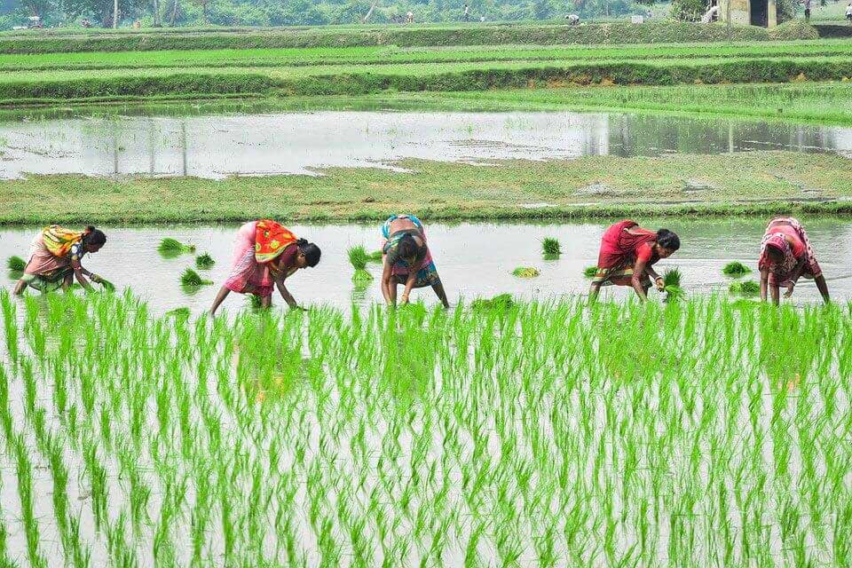 Best Practices for Sustainable Agriculture