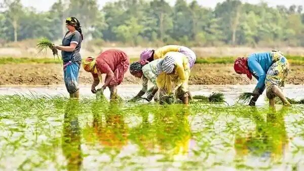 How to Improve Crop Production in a Changing Climate 1 Improve Crop Production in a Changing Climate