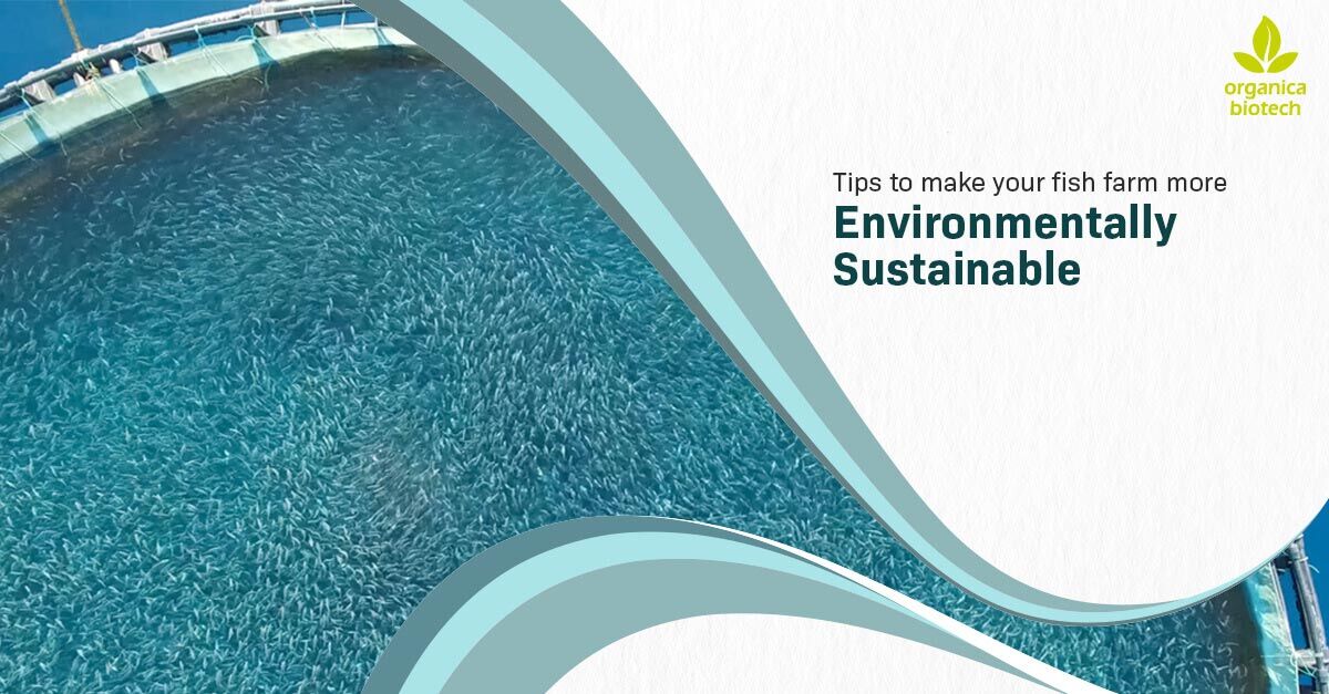 Tips to Make Your Fish Farm More Environmentally Sustainable 1 Tips to Make Your Fish Farm More Environmentally Sustainable