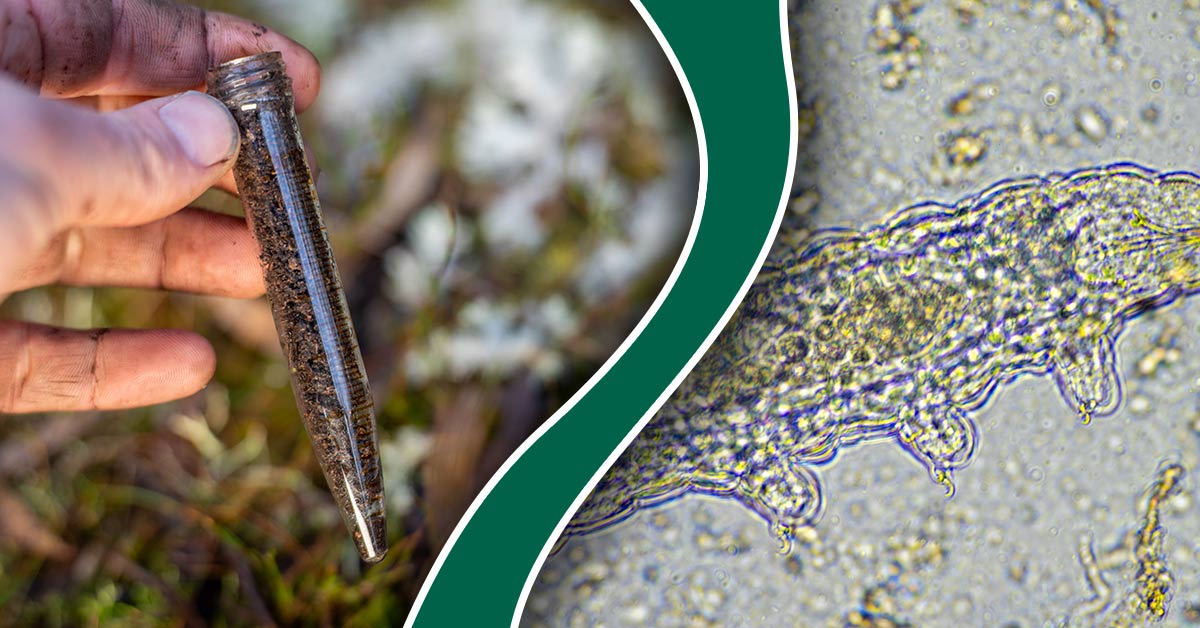 Hand holding soil sample tube and microscopic view of beneficial microbes in soil.