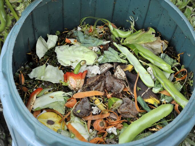 DIY Guide to Make a Compost Bin at Home 1 DIY Guide To Make a Compost Bin at Home