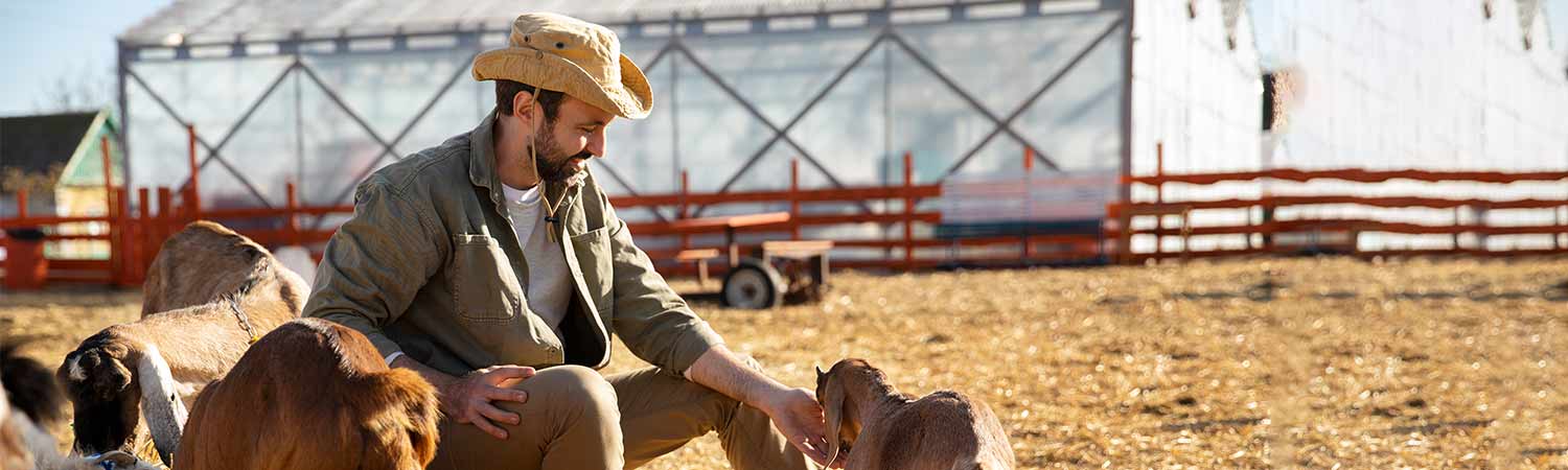 Gut Probiotics: Revolutionising Animal Management Worldwide! 1 Gut Probiotics