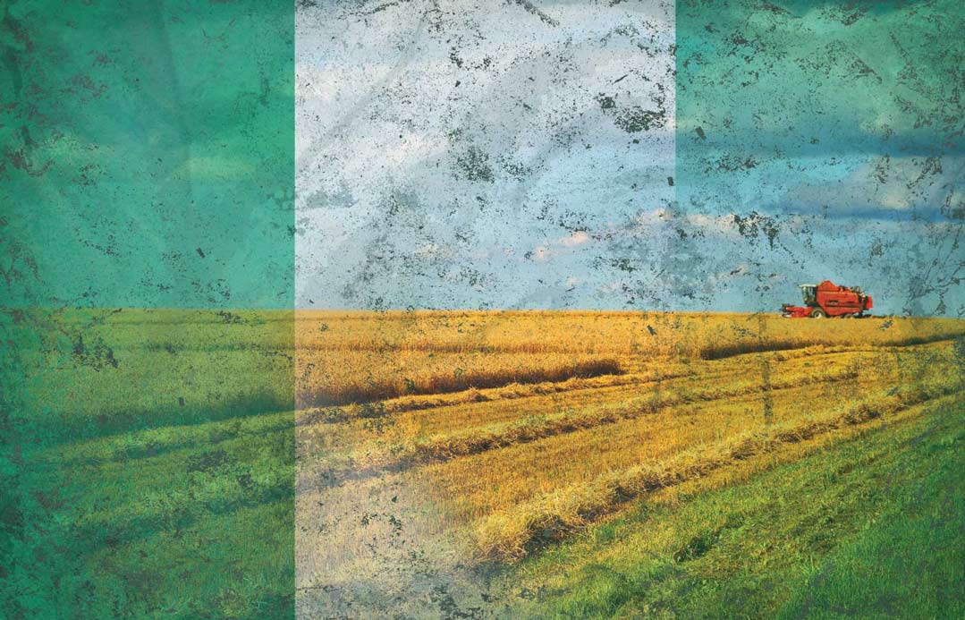 A Pressing Need To Popularise Organic Farming In Nigeria 1 Organic Farming In Nigeria