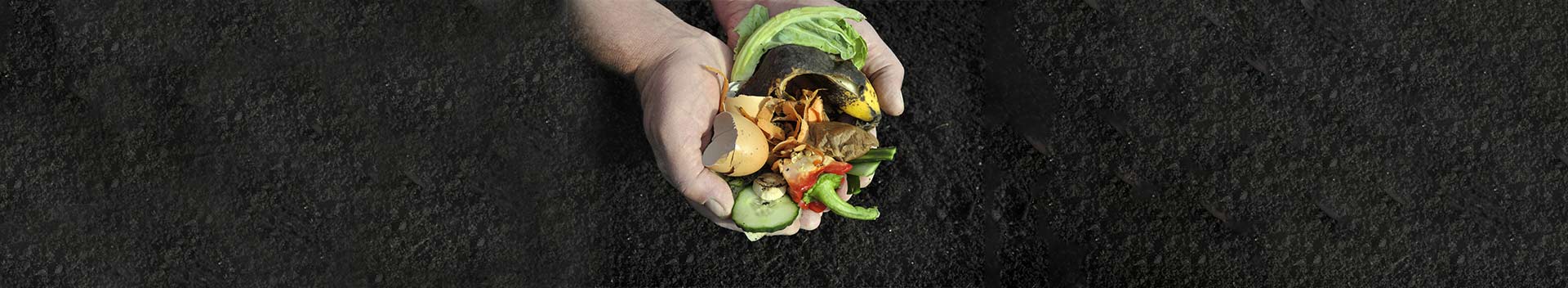 Why Composting Is Important & How Do I Compost at Home? 1 Why Composting Is Important & How Do I Compost at Home