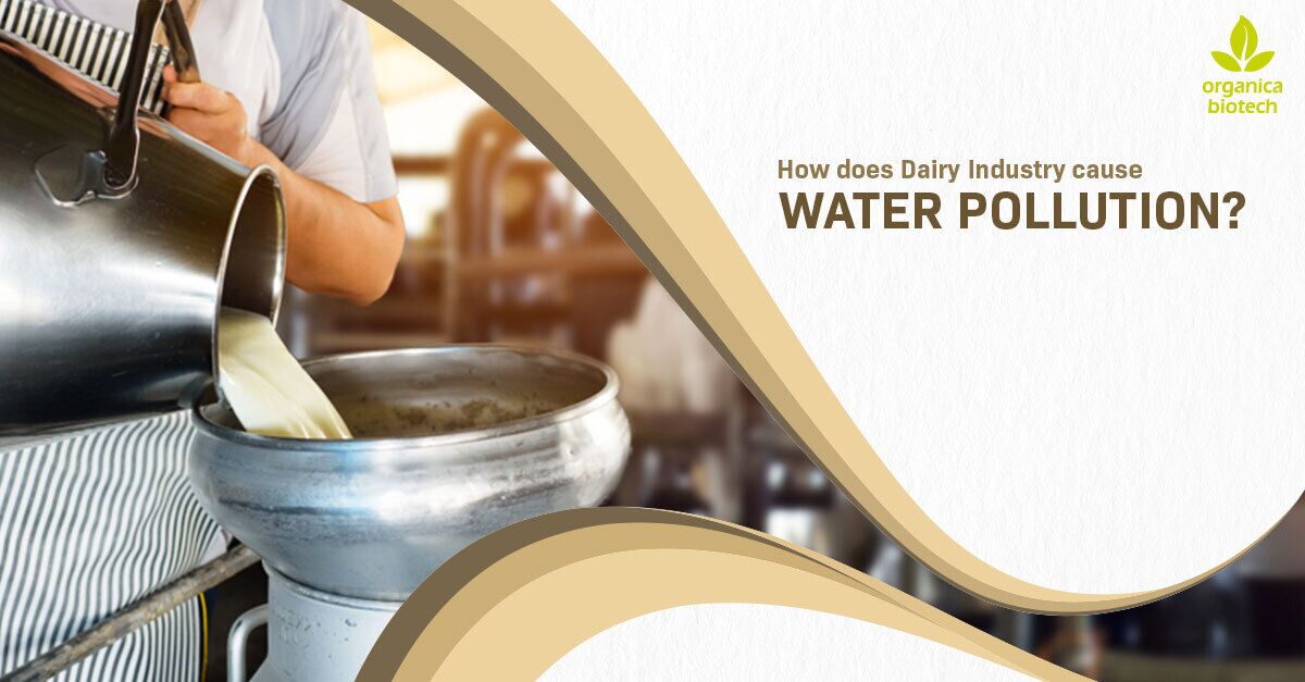 How Does Dairy Industry Cause Water Pollution? 1 Dairy Industry Cause Water Pollution