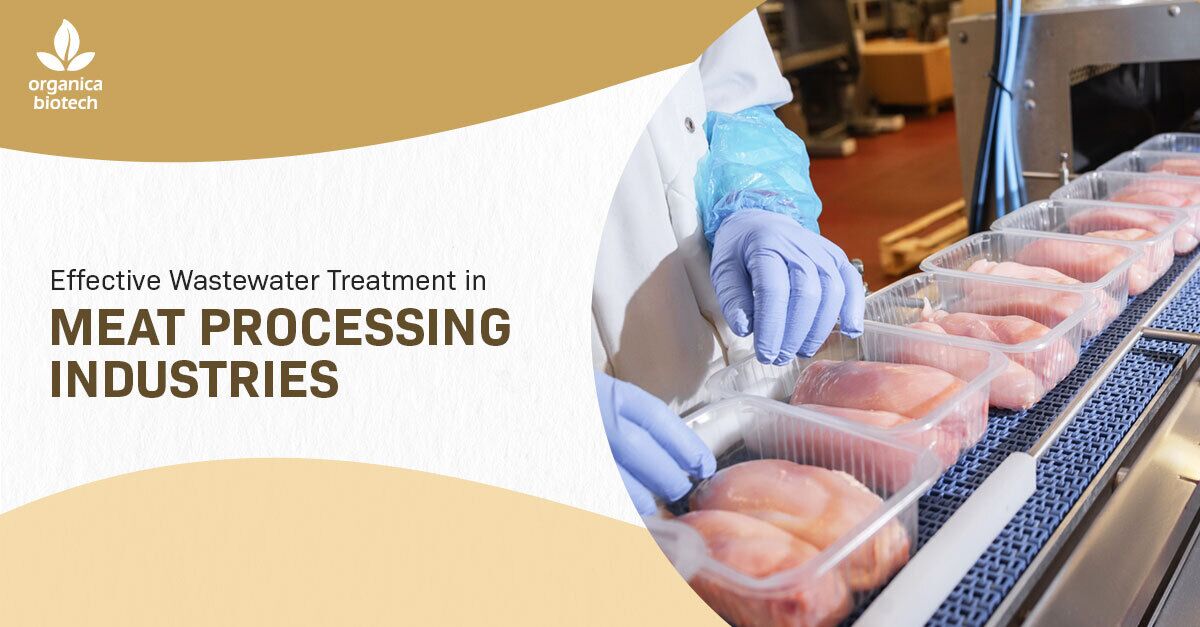 Effective Wastewater Treatment in Meat Processing Industries 1 Wastewater Treatment In Meat Processing Industries