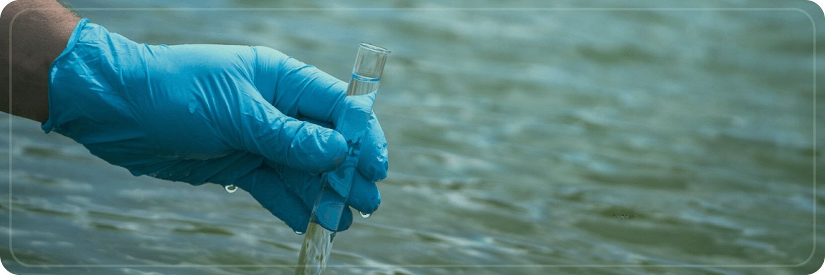 Discover the Importance of Water Quality in Aquaculture - The Secret to Healthy Fisheries 1 Importance of Water Quality in Aquaculture