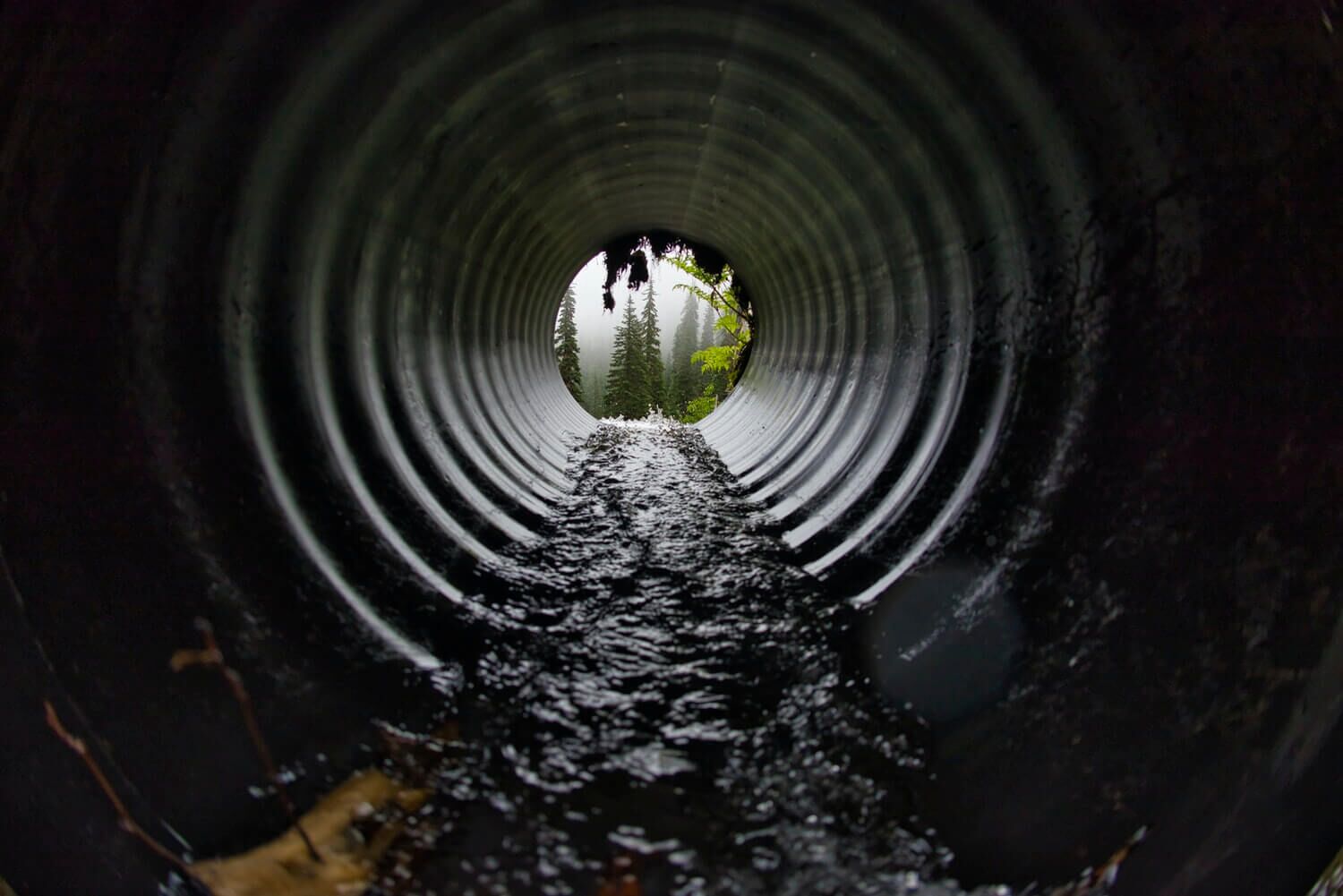 Sewage Management 'Impending Nuisance' 1 View from inside a large corrugated pipe with water flowing through it, looking out to trees, representing sewage flow.