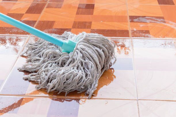 Redefining Cleaning Standards: Switch From Chemical to Organic Cleaning Products Today 1 Switch From Chemical to Organic Cleaning Products