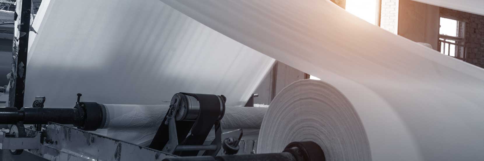 Paper, Pulp and Posterity 1 Large rolls of white paper on a production line in a factory, illustrating paper production.