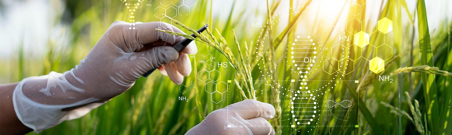 Revolutionizing Crop Protection: Exploring the Potential of Biocontrol Agents 1 Potential of Biocontrol Agents