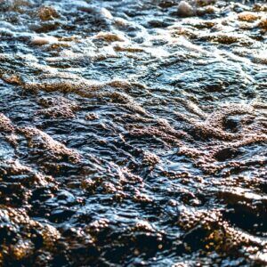 How Bioclean FOG is the Best Solution for Bioremediation of Oil in Soil 1 A close-up of a water surface with visible foam or an oily sheen, visually connecting to the concept of oil bioremediation.