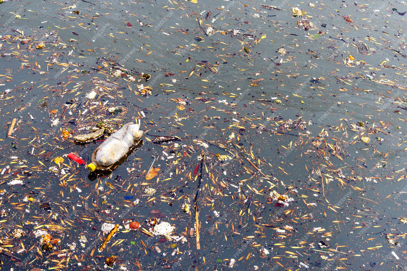 Sacred Yet Polluted: Why We Are All Responsible for the Decline of Our Holy Rivers 1 Polluted sacred river with plastic bottles and debris, highlighting the decline of holy waters.