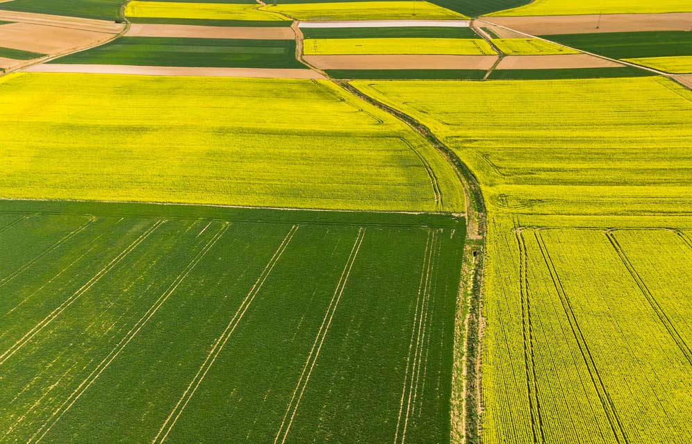 Riding The Green Wave Into The Future