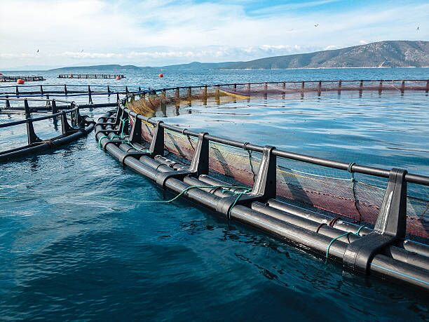 What Is Aquaculture & Why It Is Important? 1 Open-sea aquaculture pens containing fish enclosures in coastal waters