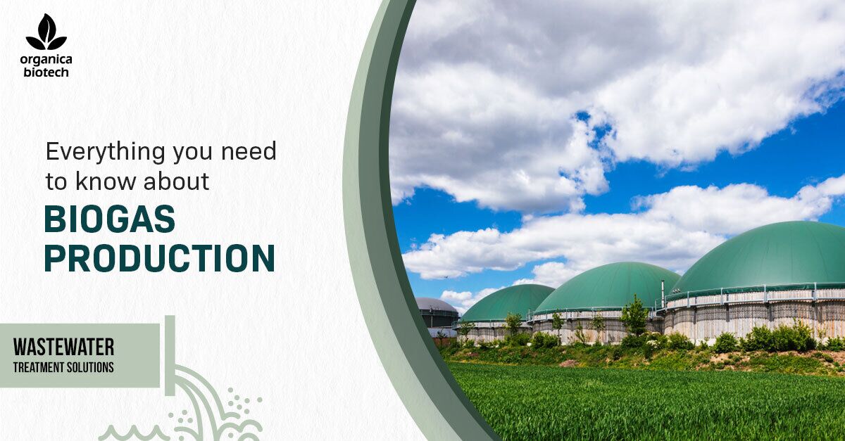 Everything You Need To Know About Biogas Production 1 Everything You Need To Know About Biogas Production
