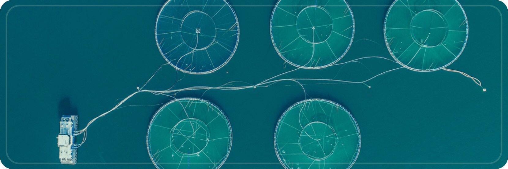 Sustainable Aquaculture: Why Is It the Need of the Hour? 1 Aerial view of sustainable aquaculture fish farms in the ocean with circular nets and a boat nearby.
